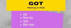 Got meaning in Hindi – Got का हिन्दी में क्या मतलब है?