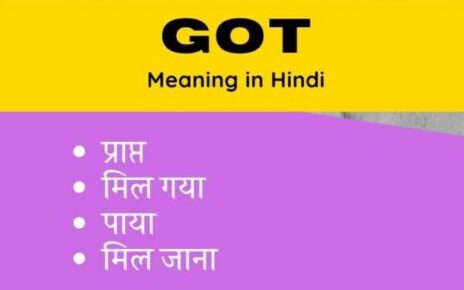 Got meaning in Hindi – Got का हिन्दी में क्या मतलब है?