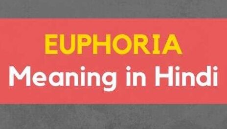 Euphoria Meaning in Hindi – Euphoria का हिंदी में क्या मतलब होता है?