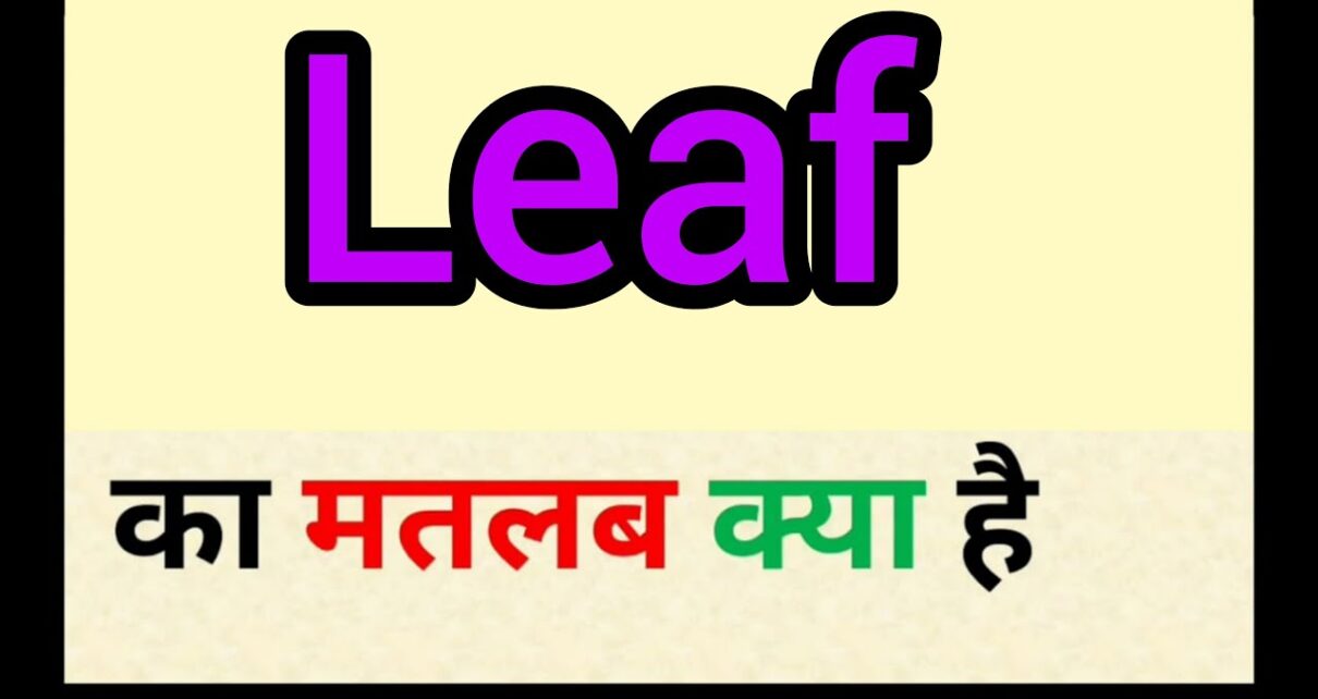 Leaf Meaning in Hindi – Leaf का हिन्दी में क्या मतलब है?