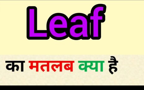 Leaf Meaning in Hindi – Leaf का हिन्दी में क्या मतलब है?