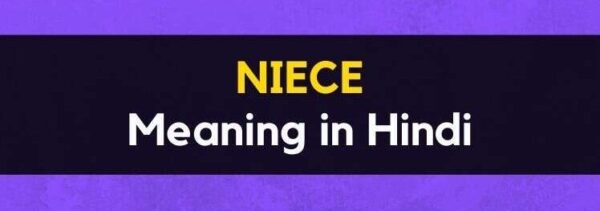 Niece Meaning in Hindi – Niece का हिन्दी में क्या मतलब है?