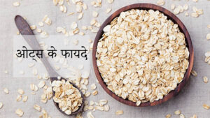 Oats Meaning in Hindi – Oats का हिंदी में क्या मतलब है?