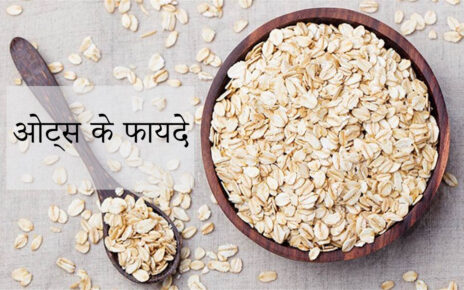 Oats Meaning in Hindi – Oats का हिंदी में क्या मतलब है?