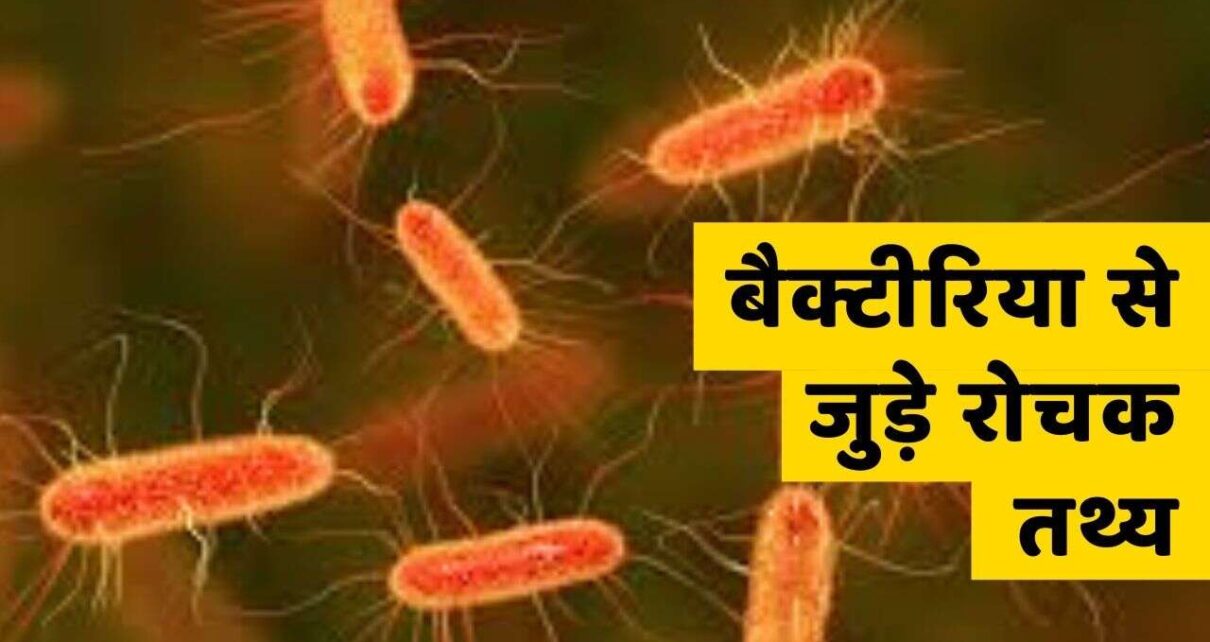 बैक्टीरिया से जुड़े 40+ रोचक तथ्य और जानकारी – Bacteria in Hindi .