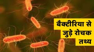 बैक्टीरिया से जुड़े 40+ रोचक तथ्य और जानकारी – Bacteria in Hindi   .