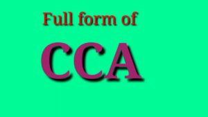 CCA का फुलफॉर्म क्या है? CCA क्या है?