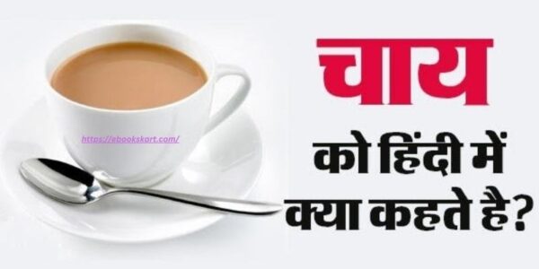 Chai Ko Hindi Mein Kya Kahate Hain | चाय को हिंदी में क्या कहते हैं